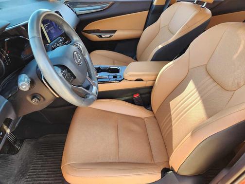 2025 Lexus NX 250 Premium