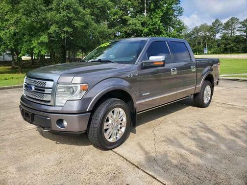 2013 Ford F-150 Platinum