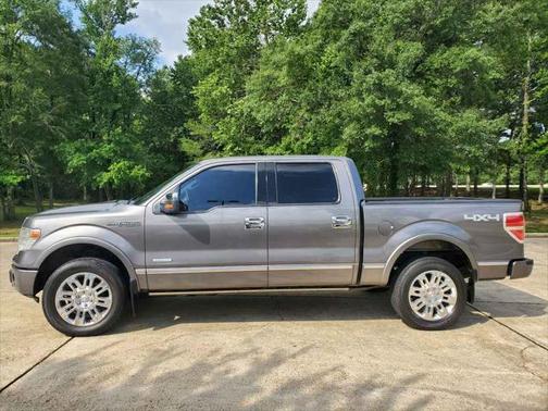 2013 Ford F-150 Platinum
