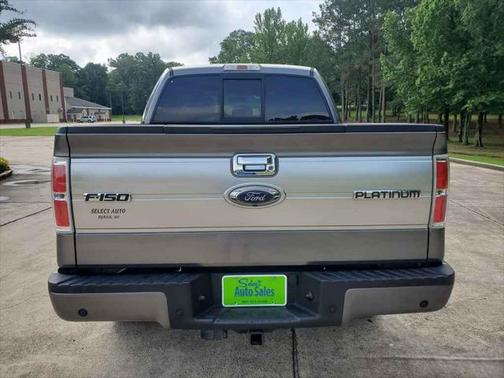 2013 Ford F-150 Platinum