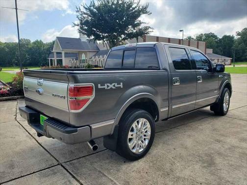 2013 Ford F-150 Platinum