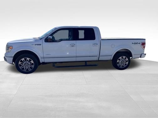 2014 Ford F-150 Platinum