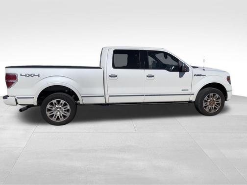 2014 Ford F-150 Platinum