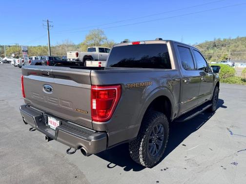 2021 Ford F-150 Tremor