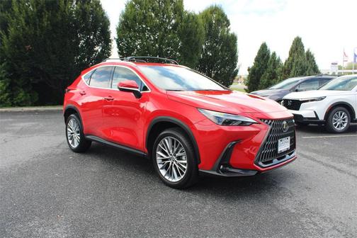 2023 Lexus NX 350 Luxury