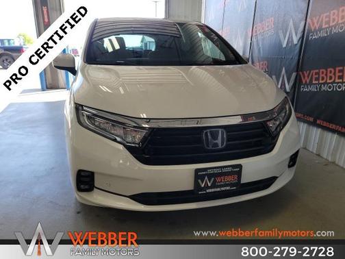 2023 Honda Odyssey Elite