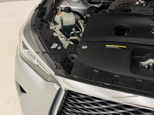 2019 INFINITI QX50 Luxe