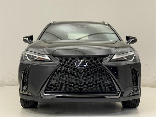 2019 Lexus UX 250h F Sport
