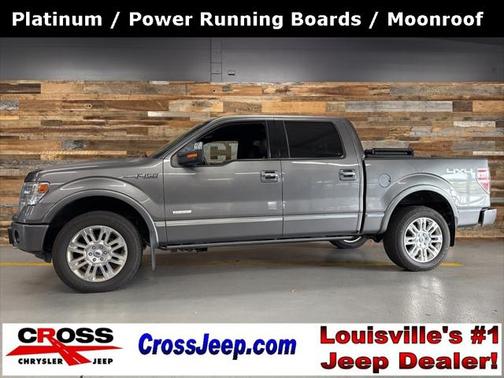 2014 Ford F-150 Platinum