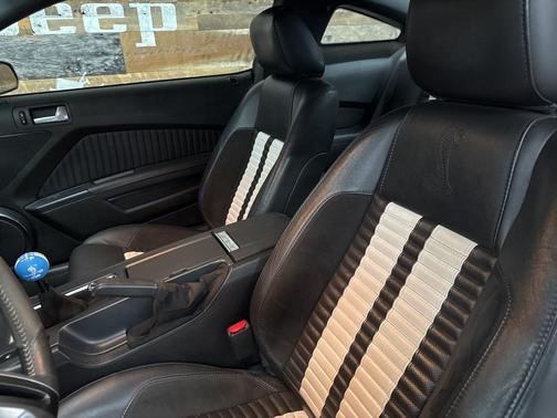 2010 Ford Shelby GT500 Base