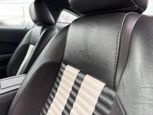 2010 Ford Shelby GT500 Base