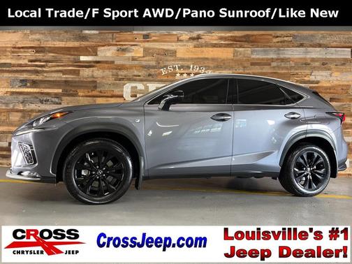 2021 Lexus NX 300 F Sport