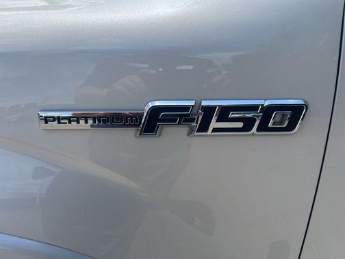 2013 Ford F-150 Platinum