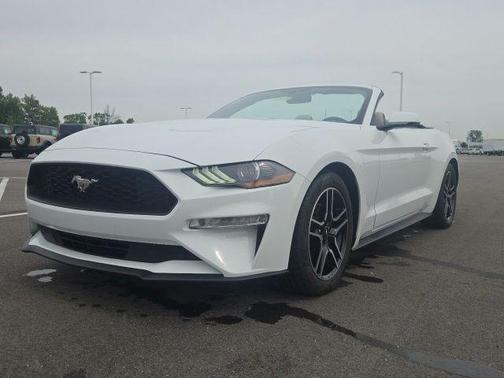 Oxford White 2019 Ford Mustang EcoBoost Premium