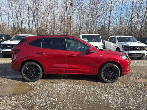 2025 Ford Escape ST-Line Elite