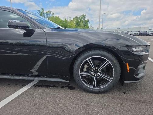 Shadow Black 2024 Ford Mustang EcoBoost Premium