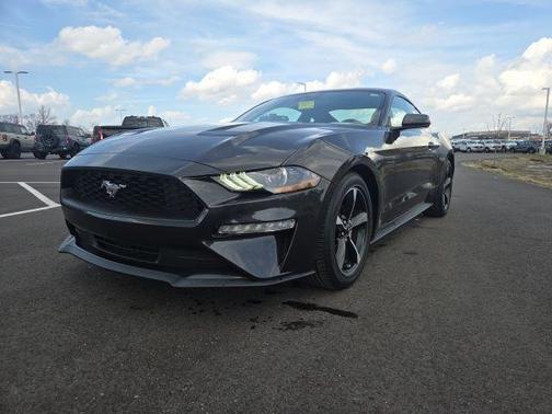 2023 Ford Mustang EcoBoost