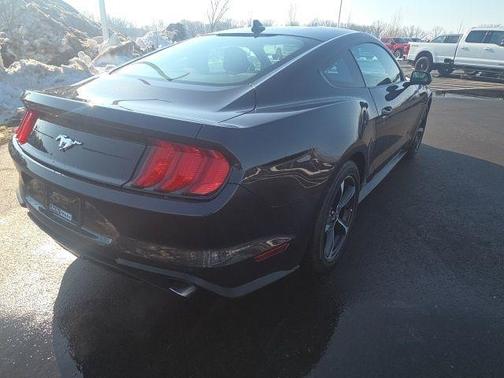 2023 Ford Mustang EcoBoost