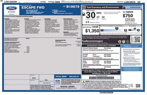 Magnetic 2020 Ford Escape SE