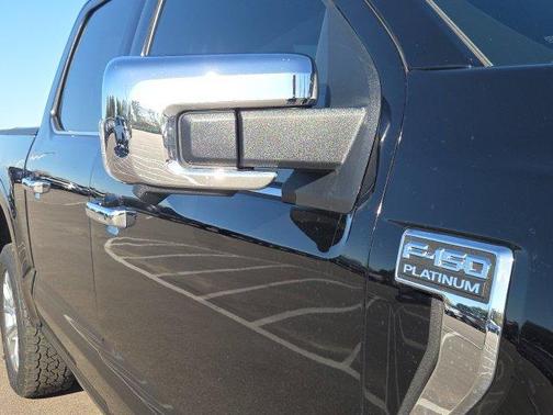 Black Metallic 2021 Ford F-150 Platinum