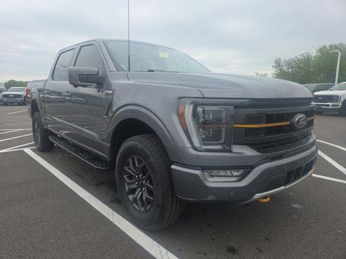 Gray Metallic 2023 Ford F-150 Tremor