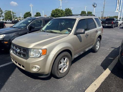 2010 Ford Escape XLT