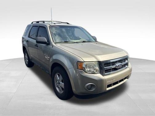 2010 Ford Escape XLT