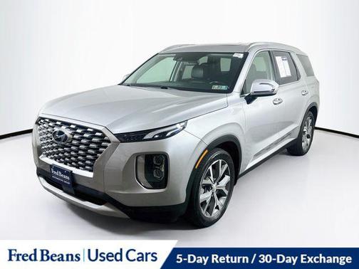 Typhoon Silver 2022 Hyundai PALISADE SEL