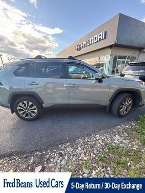 Lunar Rock 2019 Toyota RAV4 XLE Premium