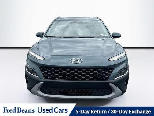 Cactus Fern 2023 Hyundai KONA SEL