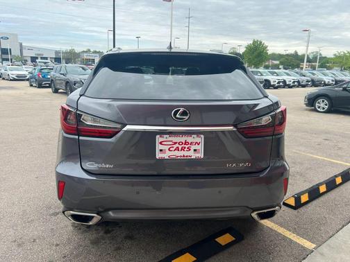 Nebula Gray Pearl 2019 Lexus RX 350 Base