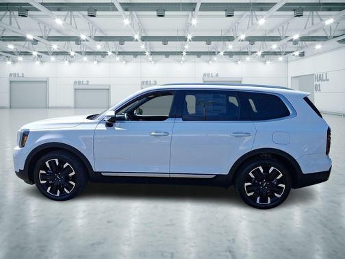 Glacial White Pearl 2025 Kia Telluride SX