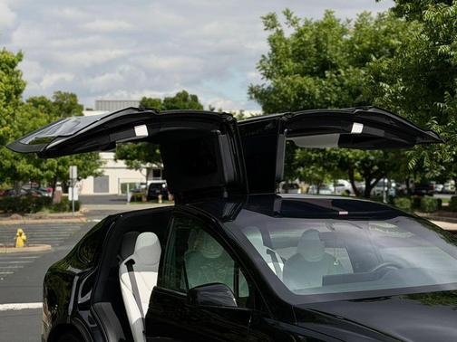 Solid Black 2025 Tesla Model X Plaid