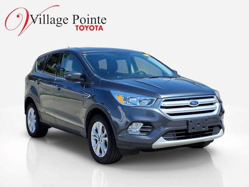 Magnetic 2019 Ford Escape SE