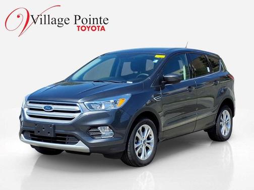 Magnetic 2019 Ford Escape SE