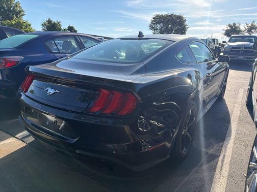 Gray Metallic 2022 Ford Mustang EcoBoost