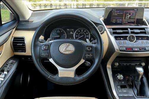 2019 Lexus NX 300 NX 300 F SPORT