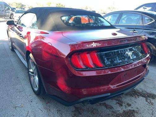 Ruby Red Metallic Tinted Clearcoat 2019 Ford Mustang EcoBoost Premium