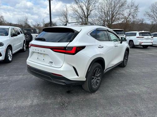 2024 Lexus NX 350 Premium