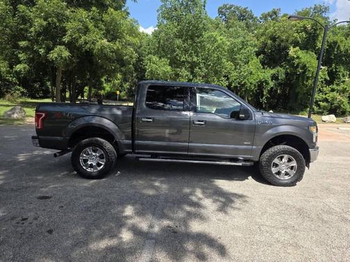 Caribou 2017 Ford F-150 XLT