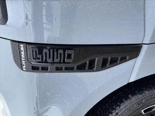 2025 Ford F-250 Platinum
