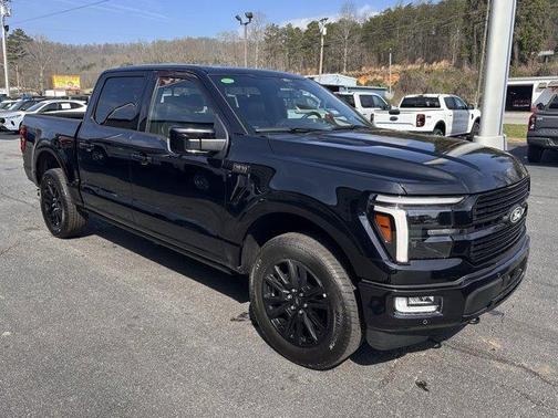 Agate Black Metallic 2025 Ford F-150 Platinum