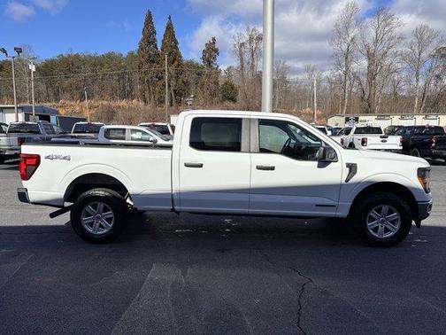 2025 Ford F-150 XL Hybrid