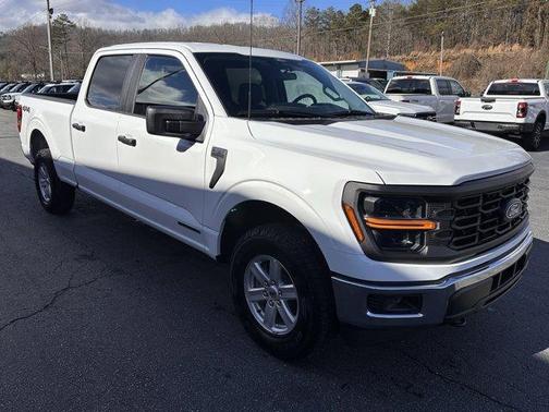 2025 Ford F-150 XL Hybrid