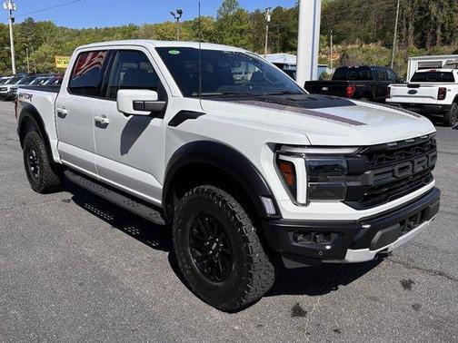 Avalanche 2024 Ford F-150 Raptor