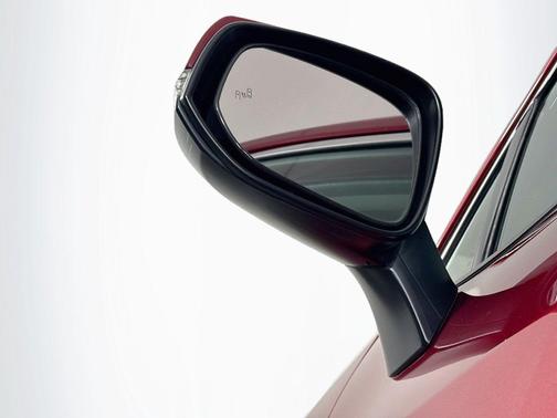 Ruby Flare Pearl 2019 Toyota RAV4 LE
