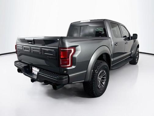 Magnetic Metallic 2019 Ford F-150 Raptor