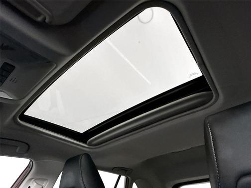 Ruby Flare Pearl 2023 Toyota RAV4 XLE Premium