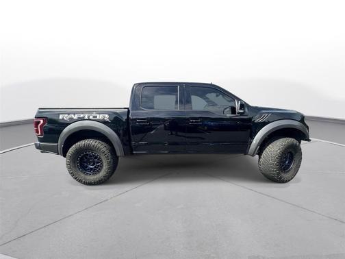 Agate Black Metallic 2019 Ford F-150 Raptor