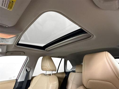 Ruby Flare Pearl 2019 Toyota RAV4 Limited